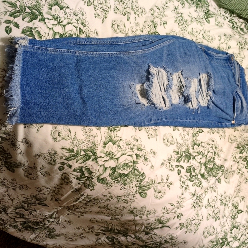 KanCan size 22 meet light wash Jean